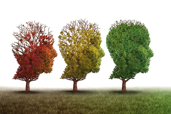 how do changing seasons impact human health article